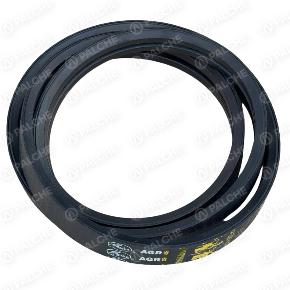 667251 belt (fits to CLAAS)