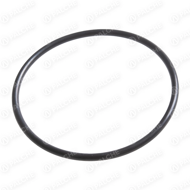 212866 Sealing ring (fits to CLAAS)