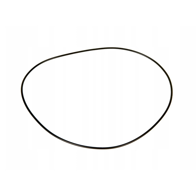 215896 Sealing ring (fits to CLAAS)