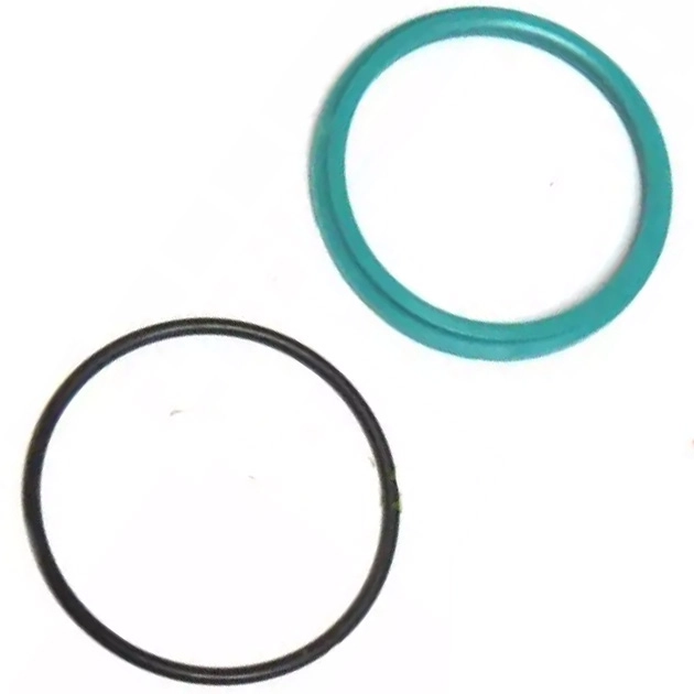 218098 (218831) Lip seal 45x53.8x6.3 (fits to CLAAS)