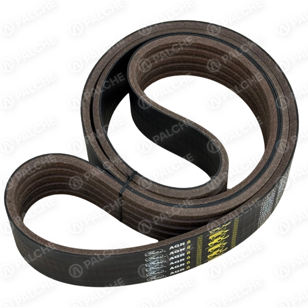 667453 (352403) belt (fits to CLAAS)