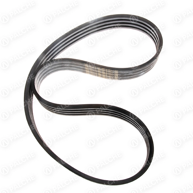 629142 Belt (header drive) (fits to CLAAS)