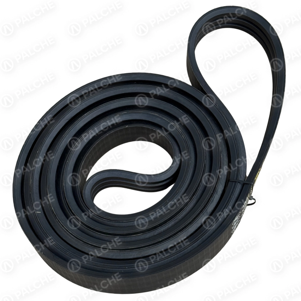 644961 belt (fits to CLAAS)