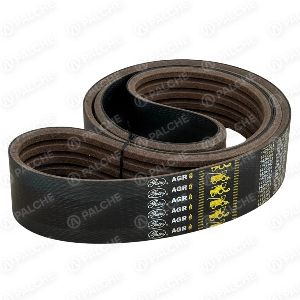 667453 (352403) belt (fits to CLAAS) - alternative image