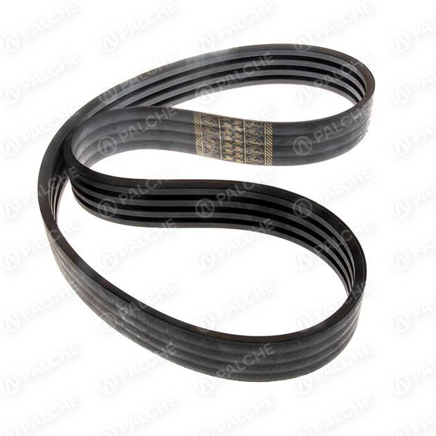 629142 Belt (header drive) (fits to CLAAS) - alternative image