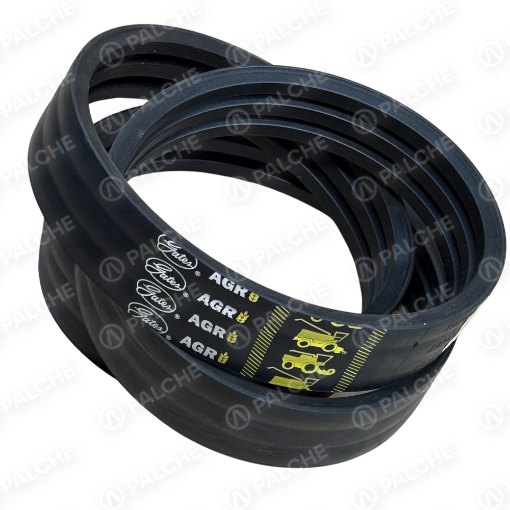 644465 (549237) belt (fits to CLAAS)