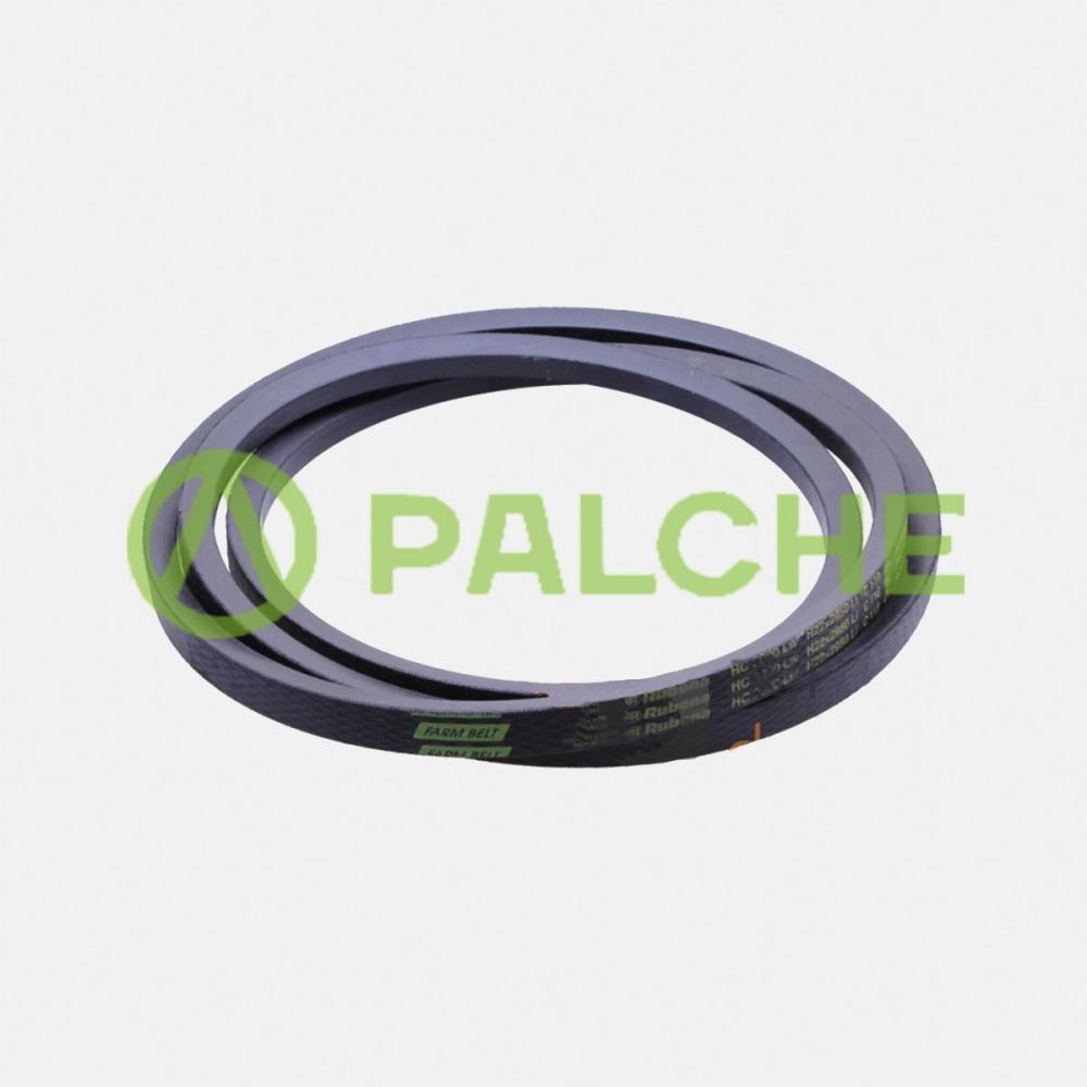 644209 (Z20460) Pas (pasuje do CLAAS) - alternative image